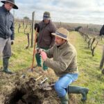 coleta de solo terroir guatambu