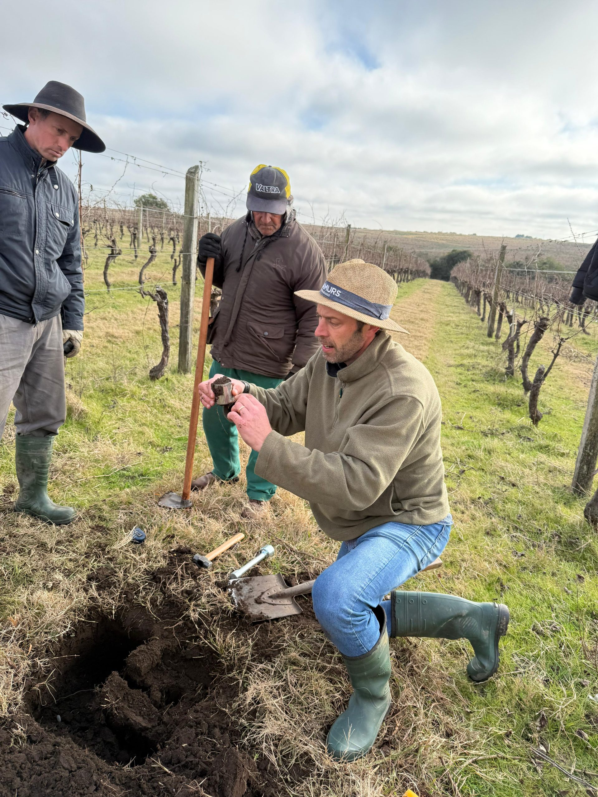 coleta de solo terroir guatambu